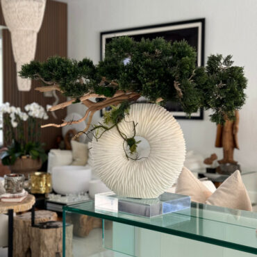 Vaso Eternity Médio com Árvore Bonsai Pendente e Driftwood