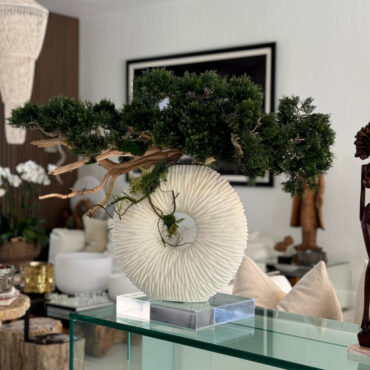 Vaso Eternity Médio com Árvore Bonsai Pendente e Driftwood