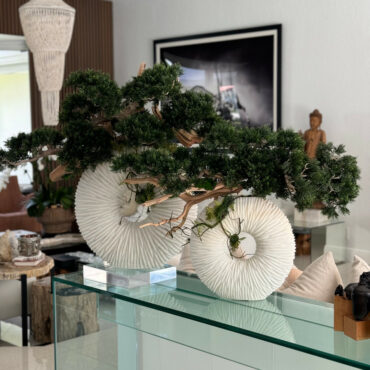 Vaso Eternity Médio com Árvore Bonsai Pendente e Driftwood