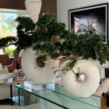 Vaso Eternity Médio com Árvore Bonsai Pendente e Driftwood