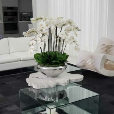 Tigela Avenue com Orquídeas Phalaenopsis Brancas