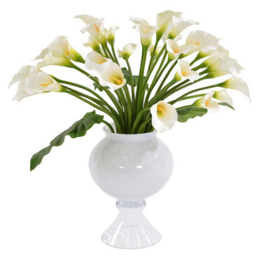 Vaso Refine com múltiplos Lírios-brancos (Calla)