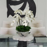 Tigela Avenue com Orquídeas Phalaenopsis Brancas