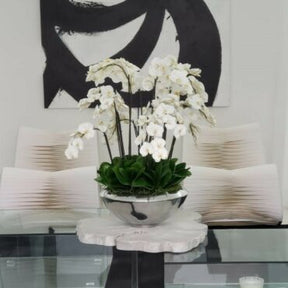 Tigela Avenue com Orquídeas Phalaenopsis Brancas