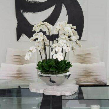 Tigela Avenue com Orquídeas Phalaenopsis Brancas