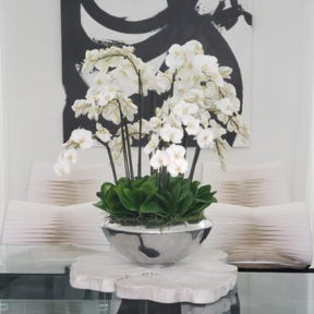 Tigela Avenue com Orquídeas Phalaenopsis Brancas
