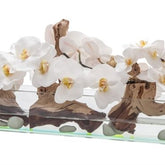 Cachepô de vidro  Casa Moderna com Orquídeas Brancas