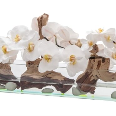 Cachepô de vidro  Casa Moderna com Orquídeas Brancas