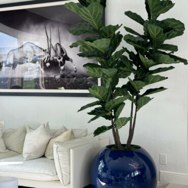Vaso Globo Azul com Fiddle Leaf Fig