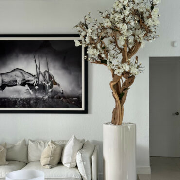 Vaso Eternity Grande com Bonsai Pendente e Driftwood