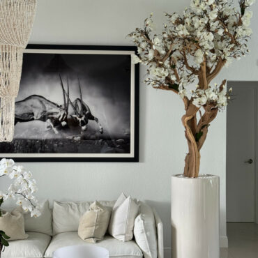 Vaso Eternity Grande com Bonsai Pendente e Driftwood