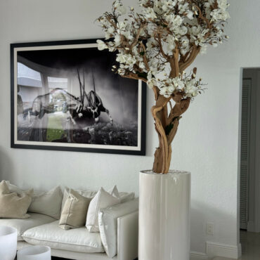 Vaso Eternity Grande com Bonsai Pendente e Driftwood