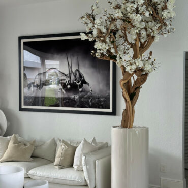 Vaso Eternity Grande com Bonsai Pendente e Driftwood