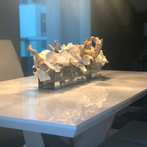 Cachepô de vidro  Casa Moderna com Orquídeas Brancas