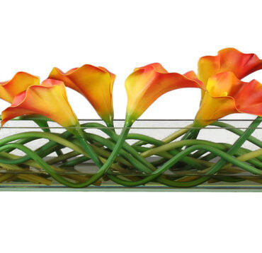 Cachepô de vidro  Casa Moderna com Lírios Calla Manga