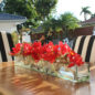 Cachepô de vidro  Casa Moderna com Cymbidiums Vermelhos