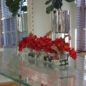 Cachepô de vidro  Casa Moderna com Cymbidiums Vermelhos