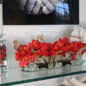 Cachepô de vidro  Casa Moderna com Cymbidiums Vermelhos
