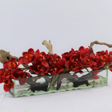Cachepô de vidro  Casa Moderna com Cymbidiums Vermelhos