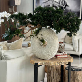 Vaso Eternity Médio com Árvore Bonsai Pendente e Driftwood