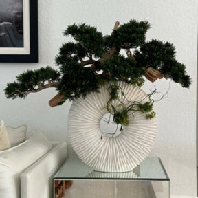 Vaso Eternity Grande com Bonsai Pendente e Driftwood