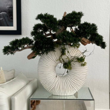 Vaso Eternity Grande com Bonsai Pendente e Driftwood