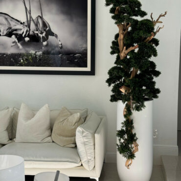 Bonsai em Vaso Saint Tropez Branco Fosco