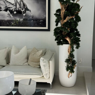 Bonsai em Vaso Saint Tropez Branco Fosco