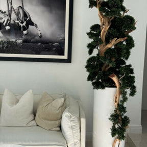 Bonsai em Vaso Saint Tropez Branco Fosco