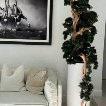 Bonsai em Vaso Saint Tropez Branco Fosco