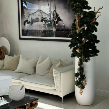 Bonsai em Vaso Saint Tropez Branco Fosco