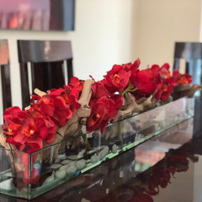 Cachepô de vidro  Casa Moderna com Cymbidiums Vermelhos