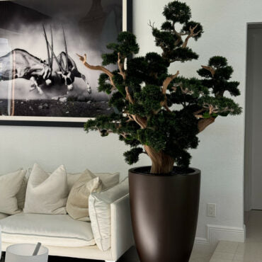 Bonsai Grande em Vaso Brannan Marrom Fosco