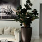 Bonsai Grande em Vaso Brannan Marrom Fosco