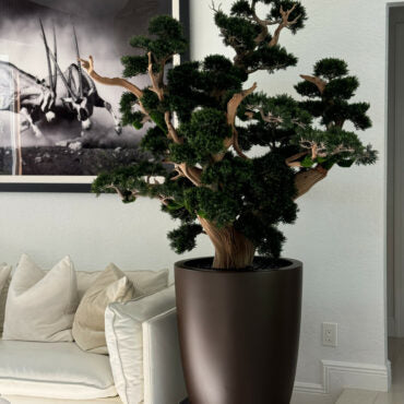 Bonsai Grande em Vaso Brannan Marrom Fosco