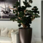 Bonsai Grande em Vaso Brannan Marrom Fosco