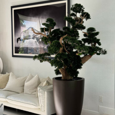Bonsai Grande em Vaso Brannan Marrom Fosco