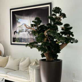 Bonsai Grande em Vaso Brannan Marrom Fosco