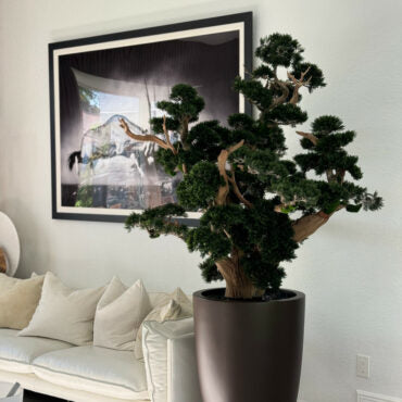 Bonsai Grande em Vaso Brannan Marrom Fosco