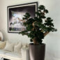 Bonsai Grande em Vaso Brannan Marrom Fosco