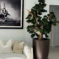 Bonsai Grande em Vaso Brannan Marrom Fosco