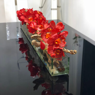 Cachepô de vidro  Casa Moderna com Cymbidiums Vermelhos