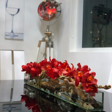 Cachepô de vidro  Casa Moderna com Cymbidiums Vermelhos
