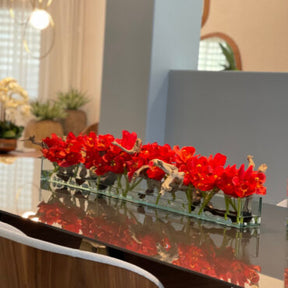 Cachepô de vidro  Casa Moderna com Cymbidiums Vermelhos