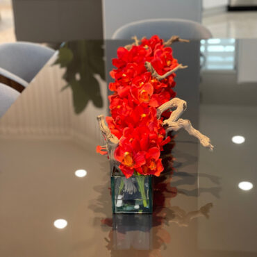 Cachepô de vidro  Casa Moderna com Cymbidiums Vermelhos