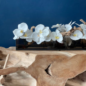 Cachepô de Vidro Preto Fumê 36″ Casa Moderna com Orquídeas Phalaenopsis Brancas
