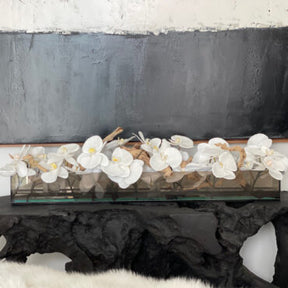 Cachepô de Vidro Preto Fumê 36″ Casa Moderna com Orquídeas Phalaenopsis Brancas