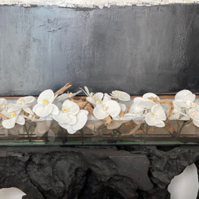 Cachepô de Vidro Preto Fumê 36″ Casa Moderna com Orquídeas Phalaenopsis Brancas