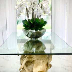 Tigela Avenue com Orquídeas Phalaenopsis Brancas