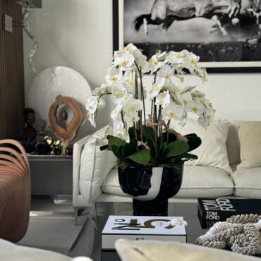 Orquídeas Brancas em Vaso Kempff Bowl